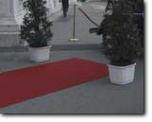 Red Carpet